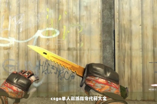 csgo单人训练指令代码大全