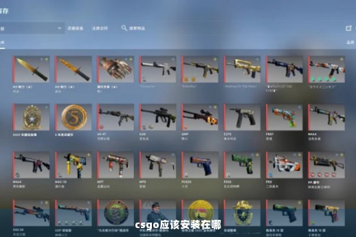 csgo应该安装在哪