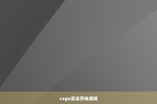 csgo没法开始游戏