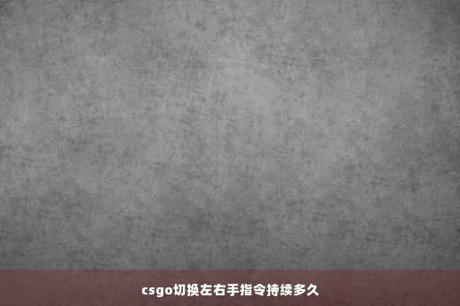 csgo切换左右手指令持续多久