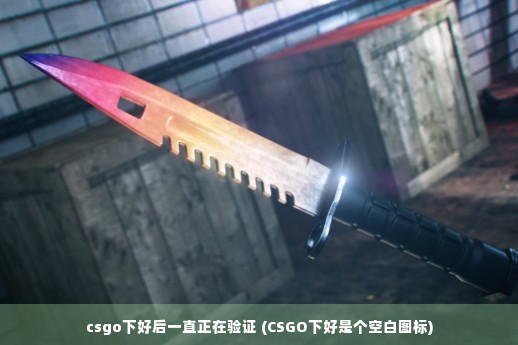 csgo下好后一直正在验证 (CSGO下好是个空白图标)