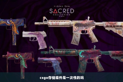 csgo存储组件是一次性的吗