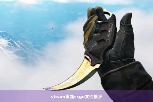 steam更新csgo文件损坏