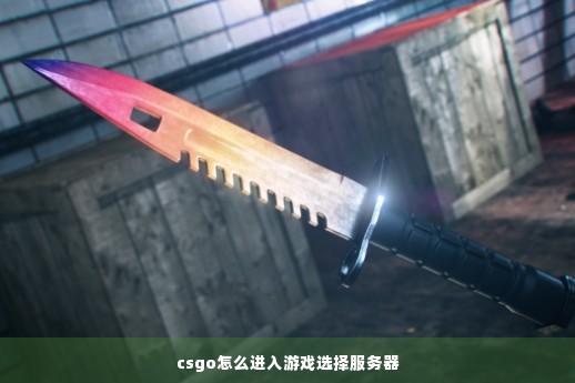 csgo怎么进入游戏选择服务器