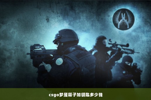 csgo梦魇箱子加钥匙多少钱