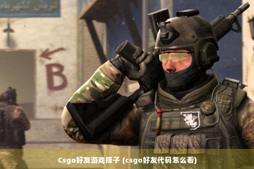 Csgo好友游戏搭子 (csgo好友代码怎么看)