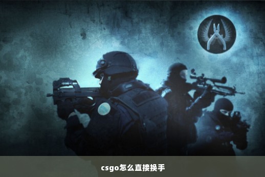 csgo怎么直接换手