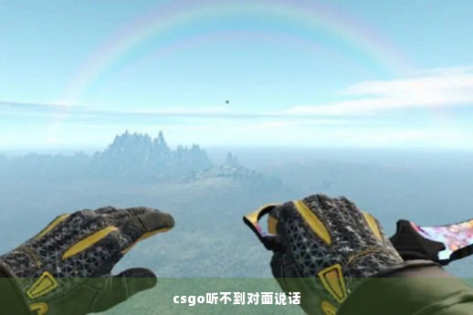 csgo听不到对面说话