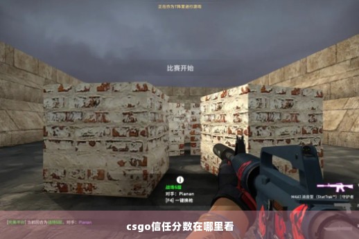 csgo信任分数在哪里看