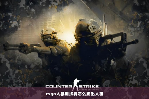 csgo人机训练赛怎么踢出人机