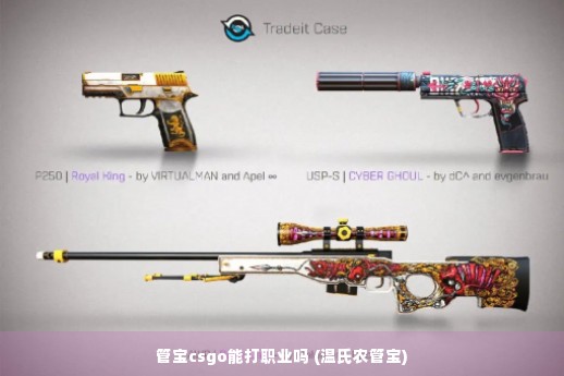 管宝csgo能打职业吗 (温氏农管宝)