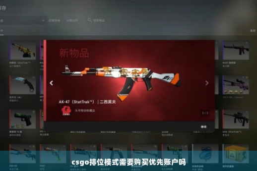 csgo排位模式需要购买优先账户吗