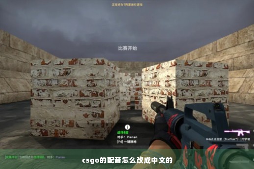 csgo的配音怎么改成中文的