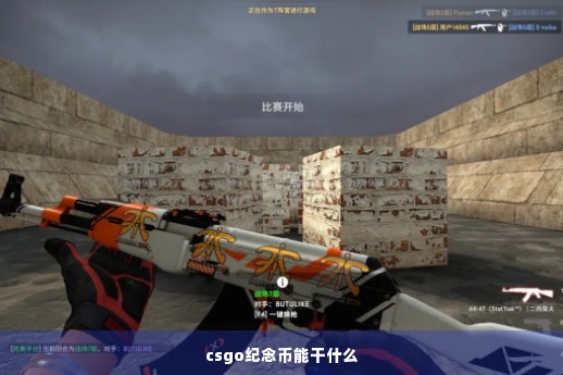 csgo纪念币能干什么