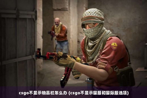 csgo不显示物品栏怎么办 (csgo不显示国服和国际服选项)