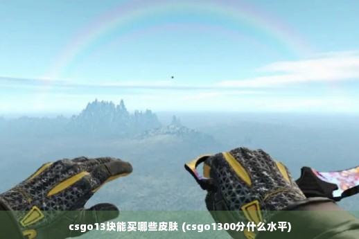 csgo13块能买哪些皮肤 (csgo1300分什么水平)