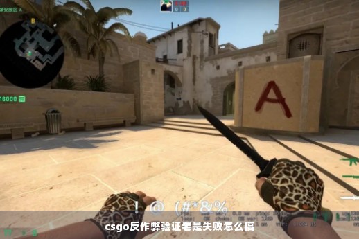 csgo反作弊验证老是失败怎么搞