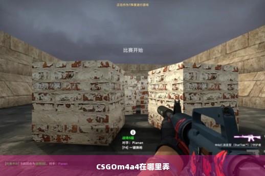 CSGOm4a4在哪里弄