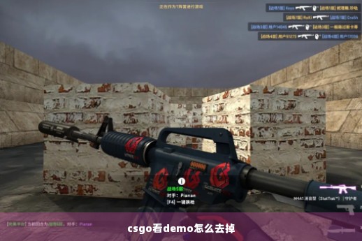 csgo看demo怎么去掉