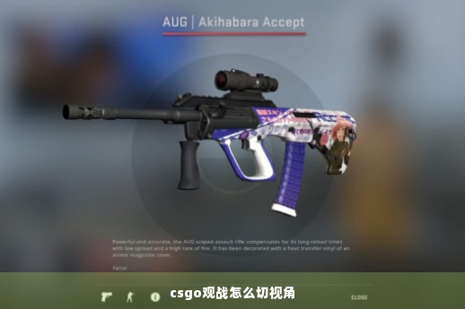 csgo观战怎么切视角