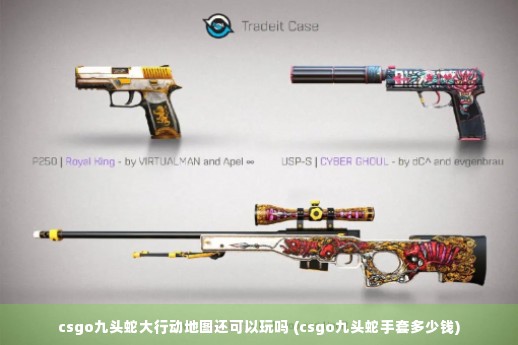 csgo九头蛇大行动地图还可以玩吗 (csgo九头蛇手套多少钱)