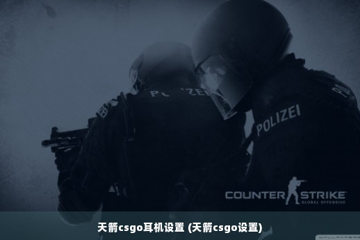 天箭csgo耳机设置 (天箭csgo设置)