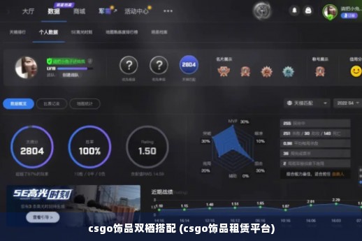 csgo饰品双栖搭配 (csgo饰品租赁平台)