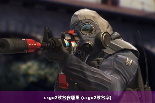 csgo2改名在哪里 (csgo2改名字)