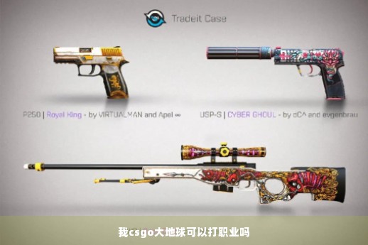 我csgo大地球可以打职业吗