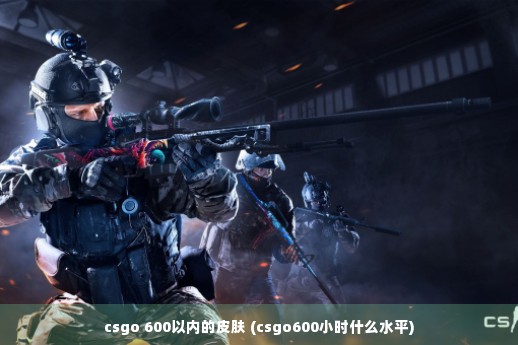 csgo 600以内的皮肤 (csgo600小时什么水平)