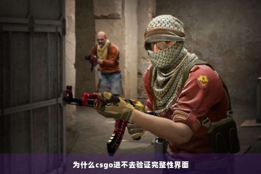 为什么csgo进不去验证完整性界面