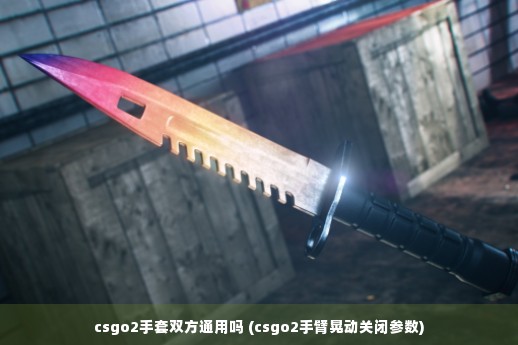 csgo2手套双方通用吗 (csgo2手臂晃动关闭参数)