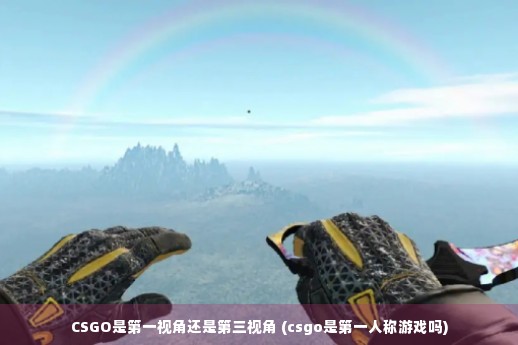 CSGO是第一视角还是第三视角 (csgo是第一人称游戏吗)