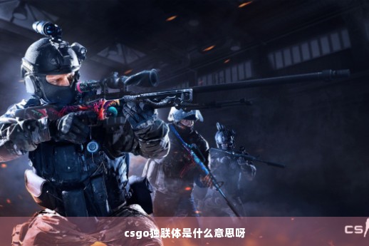 csgo独联体是什么意思呀