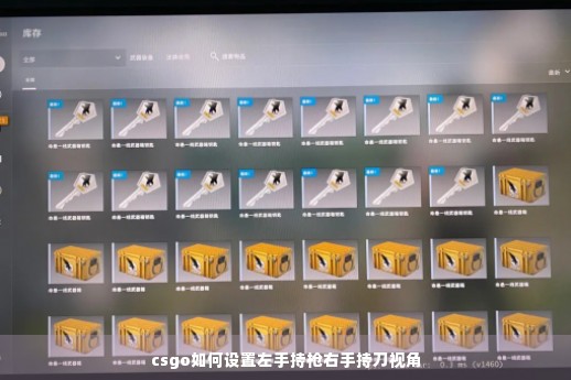 csgo如何设置左手持枪右手持刀视角