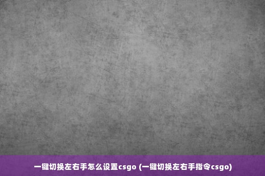 一键切换左右手怎么设置csgo (一键切换左右手指令csgo)