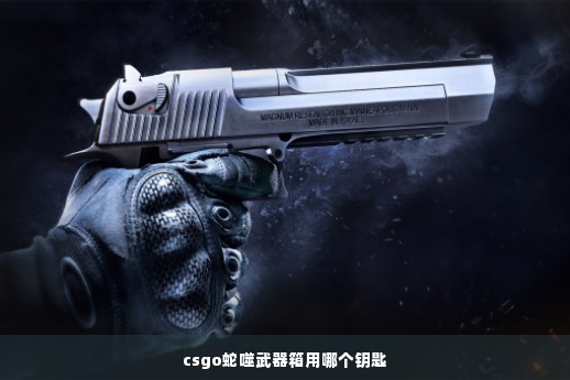 csgo蛇噬武器箱用哪个钥匙