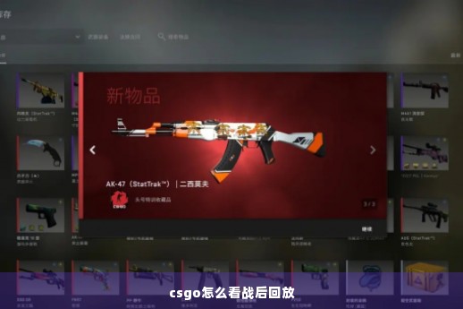 csgo怎么看战后回放