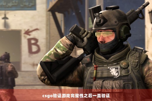 csgo验证游戏完整性之后一直验证