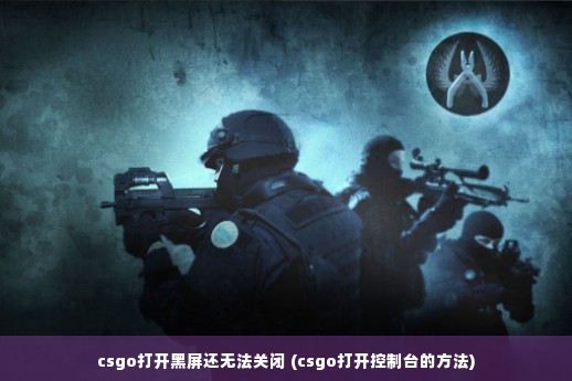 csgo打开黑屏还无法关闭 (csgo打开控制台的方法)