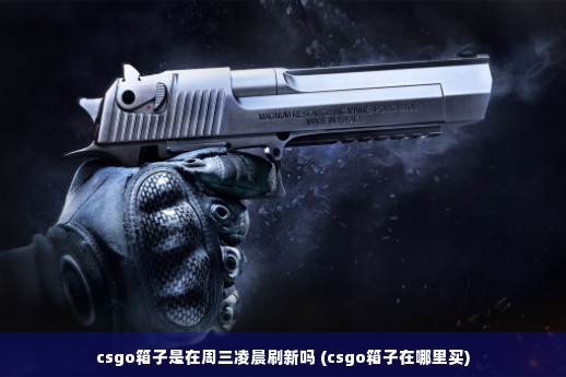 csgo箱子是在周三凌晨刷新吗 (csgo箱子在哪里买)