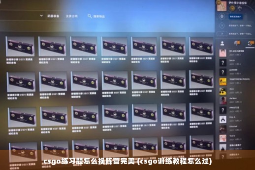 csgo练习题怎么换阵营完美 (csgo训练教程怎么过)