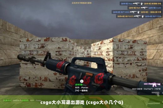 csgo大小写退出游戏 (csgo大小几个G)