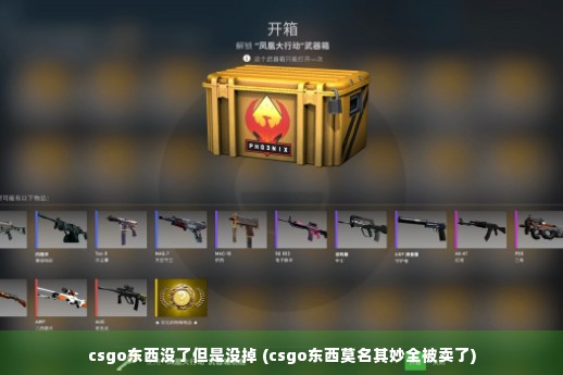 csgo东西没了但是没掉 (csgo东西莫名其妙全被卖了)