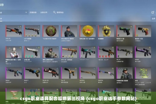 csgo职业道具配合超燃第三视角 (csgo职业选手参数网站)