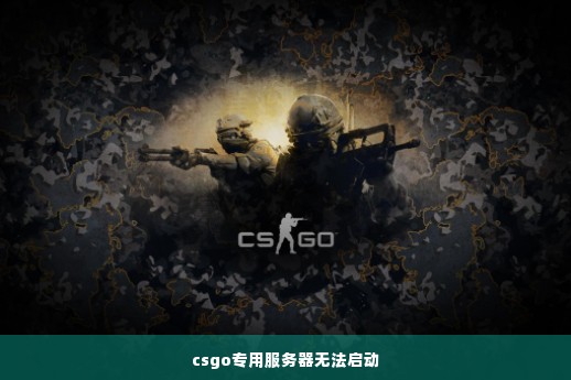 csgo专用服务器无法启动