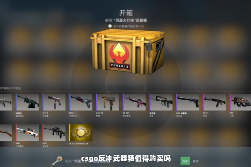 csgo反冲武器箱值得购买吗