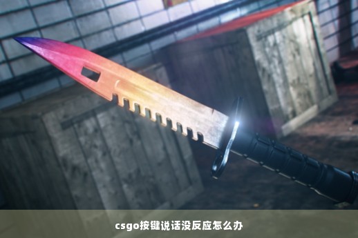 csgo按键说话没反应怎么办