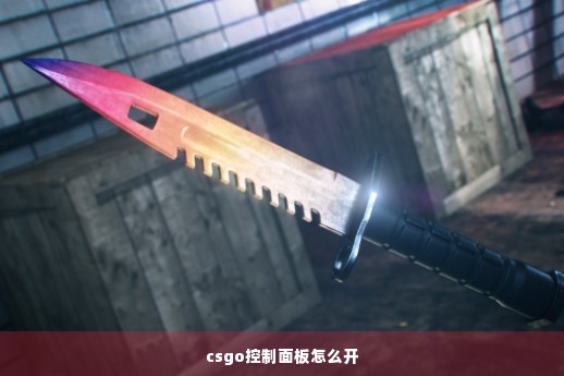 csgo控制面板怎么开