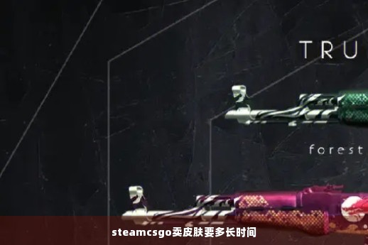 steamcsgo卖皮肤要多长时间